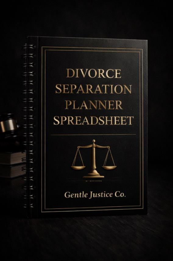 Divorce Separation Planner Spreadsheet: Asset Division & Debt (Digital Download)