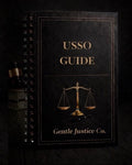 Unit 14: USSO Divorce Template | Uniform Summary Support Order | Child Support Alimony Probation | Instant Download PDF