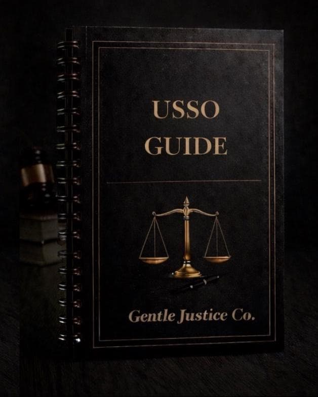 Unit 14: USSO Divorce Template | Uniform Summary Support Order | Child Support Alimony Probation | Instant Download PDF